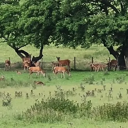 Leaf Tree Cottage, Close To Coast, Lakes And Fells *