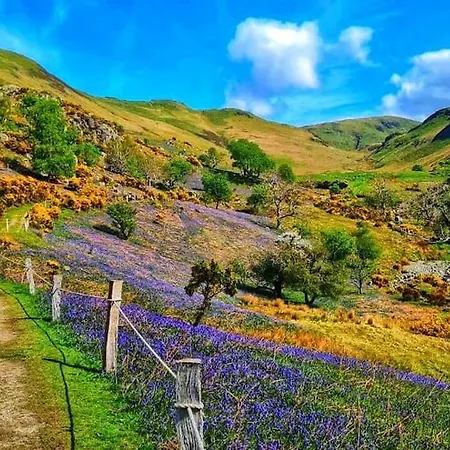 Leaf Tree Cottage, Close To Coast, Lakes And Fells * וורקינגטון