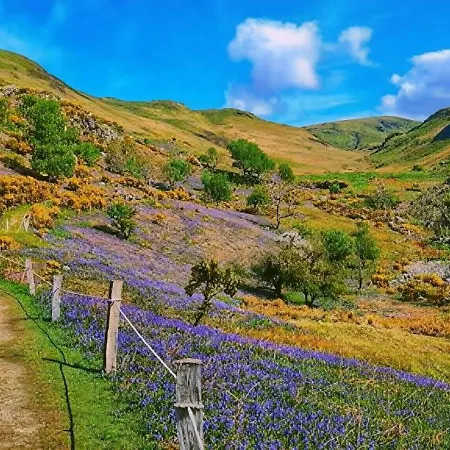 Leaf Tree Cottage, Close To Coast, Lakes And Fells Casa de Férias