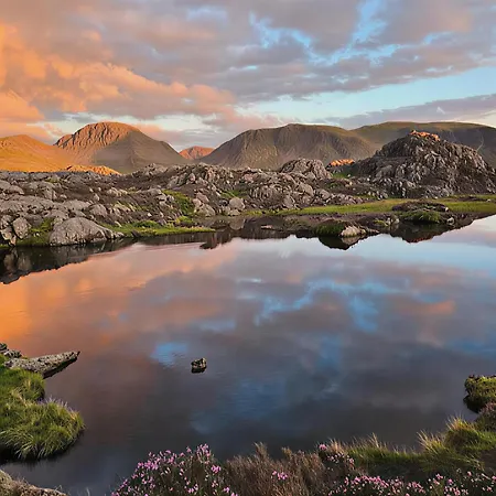 Leaf Tree Cottage, Close To Coast, Lakes And Fells * Workington